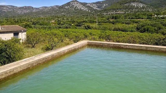 Finca rústica de 12.440 m2 con 490 naranjos Valencia Late en - foto 4
