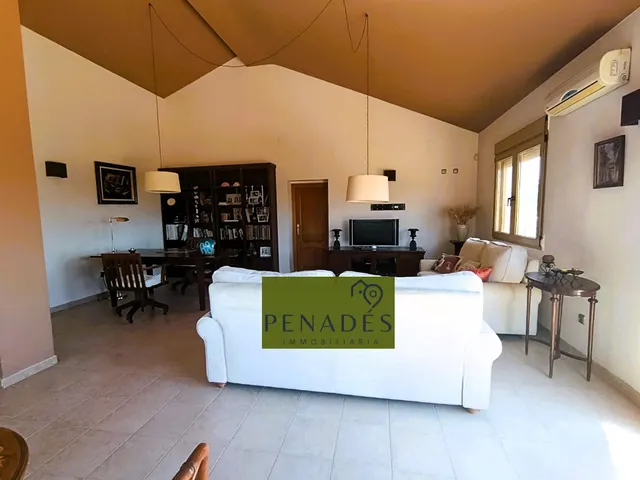 ESTUPENDA VILLA MUY CERCA DE LA POBLACIÓN — 30