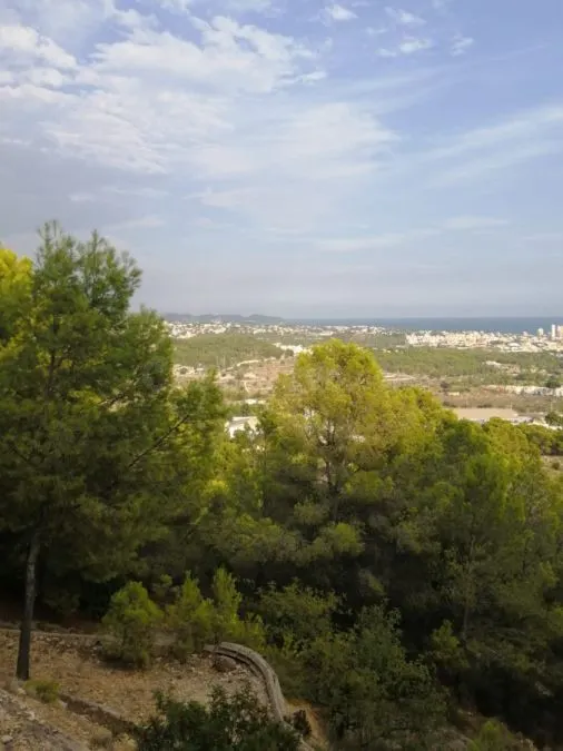 Parcela 18000m² en venta - Oltamar-Cucarres - foto 4
