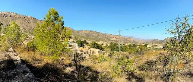 Auténtica casa para renovar en Ricote — 19