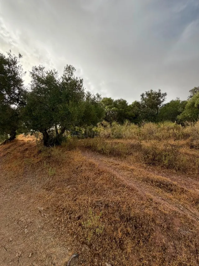 Terreno Rústico de 35 fanegas en FINCA LA SERENA! — 28