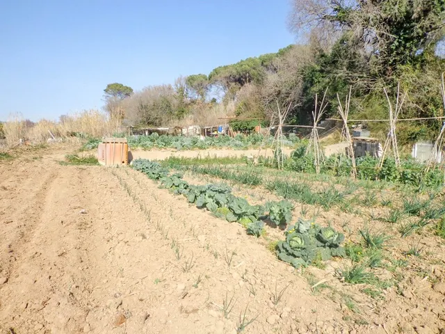 Terreno urbano de (582m2) Piera, El Raval ideal inversionistas — 18