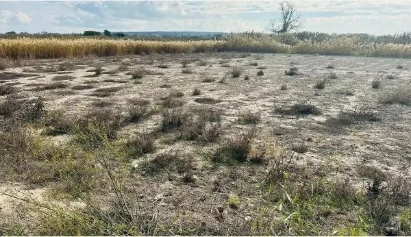 terreno rural, zona la Marina - foto 2