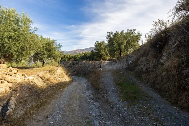 ¡Oportunidad única! Dos Fincas rústicas de mas de 15.000 m2  - foto 5
