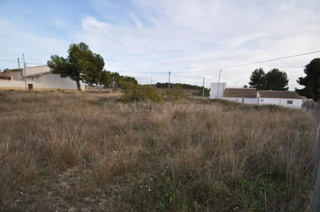 Parcela en venta - Abanilla - foto 3