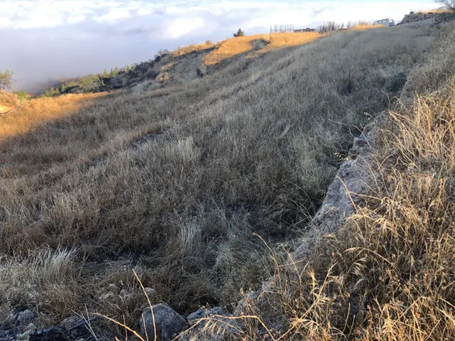 Terreno rústico con encanto y vistas espectaculares — Fasnia, Tenerife — 46