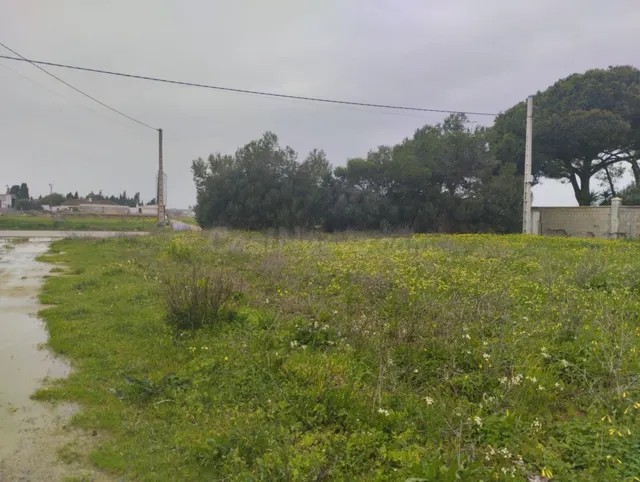 VENTA DE PARCELA NOVO SANTI PETRI - foto 3