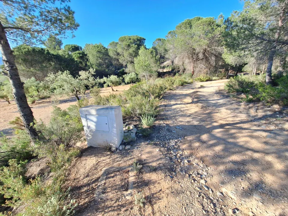 Finca rústica, georreferenciada catastralmente, de 22.641 m2 a solo 3 km de Biar | Edificabilidad del 2% | Informe urbanístico municipal.