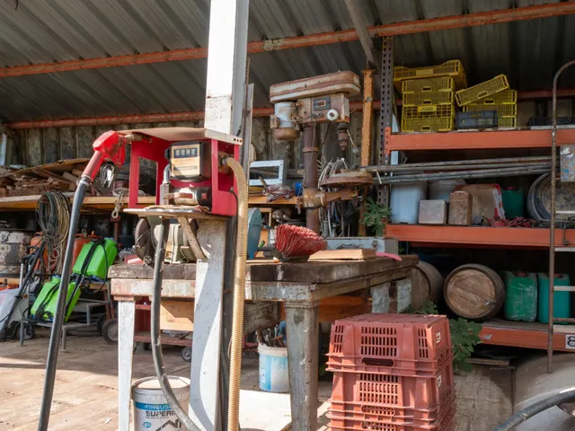 Finca Rústica de 20.000m2 con vivienda en venta. — 46
