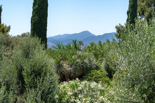 Chalet independiente en planta única con vistas a Palma, gran piscina y caseta anexa para invitados o servicio en Sa Cabaneta — 25