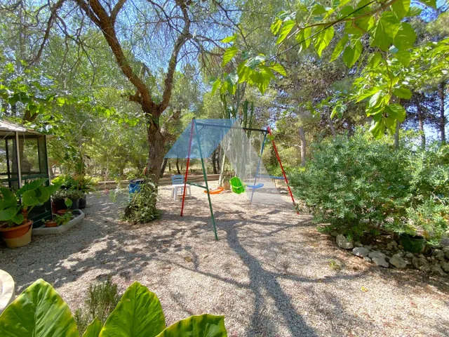 Chalet independiente con piscina en gran parcela rústica, rodeado de pinos y olivos – A menos de 1 km del Polideportivo Municipal de San Vicente del Raspeig — 50
