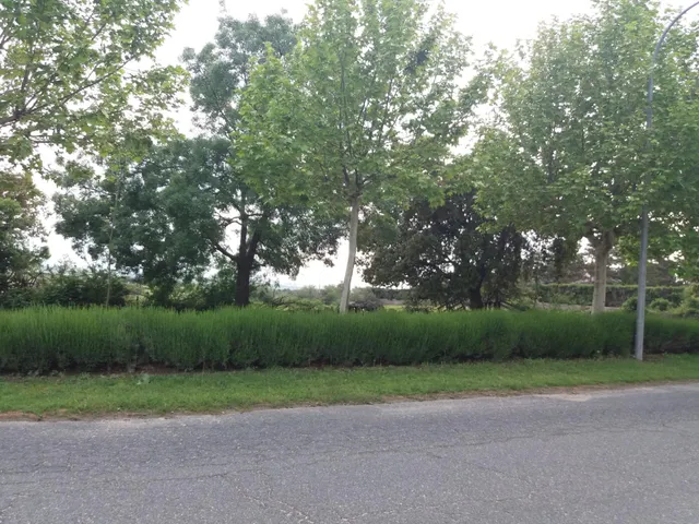 VENTA.-.PARCELA URBANA.-.ORTIGOSA DEL MONTE — 17
