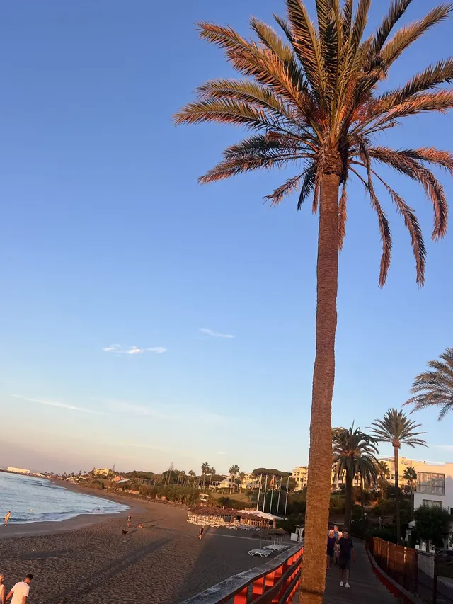 Apartamento 2 habitaciones 119m² en venta - Riviera del sol — 12