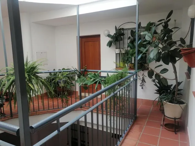 Estupendo piso en alquiler junto Plaza de San Marcos!!! — 15