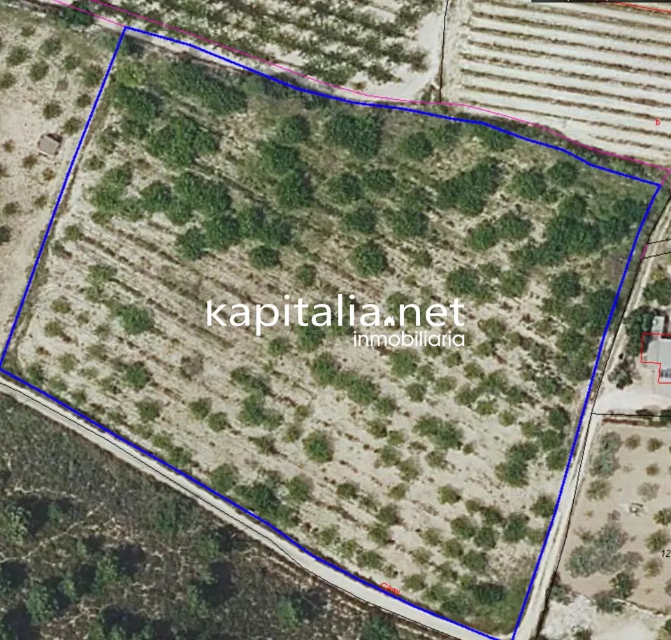 TERRENO EN VENTA EN ALBAIDA