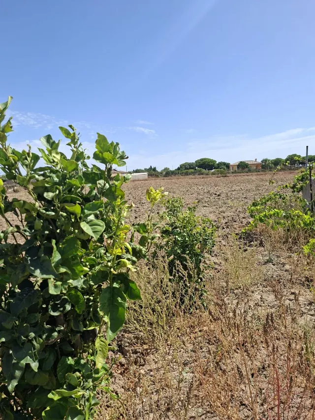 PARCELA EN CHICLANA DE LA FRONTERA - foto 3
