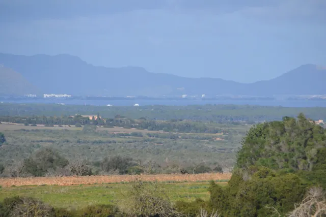 Finca rústica Manacor — 14