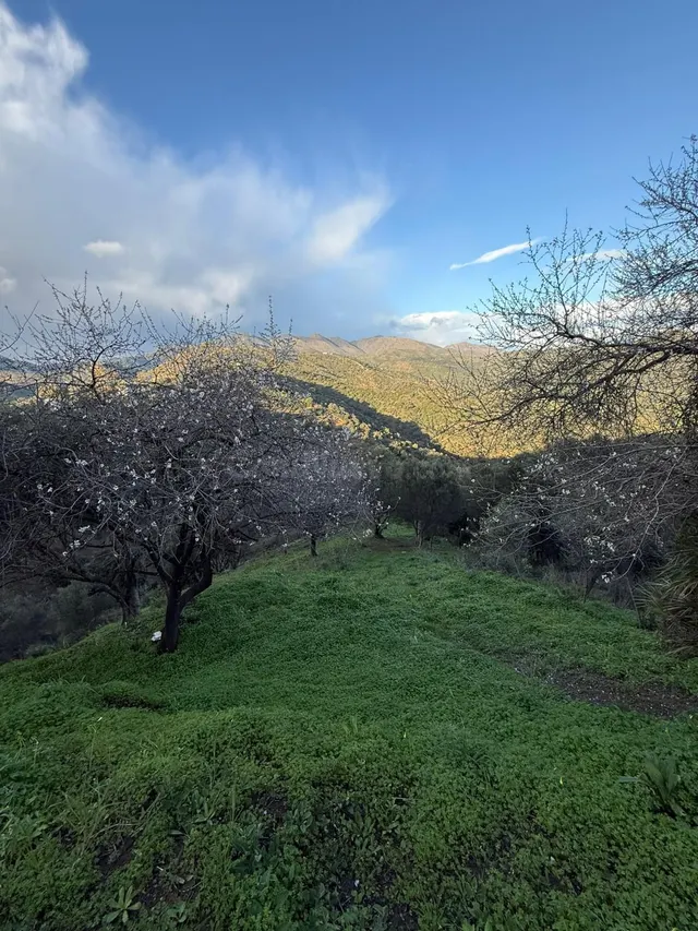 Finca rústica en zona alta de Marbella con vistas y servicios — 4