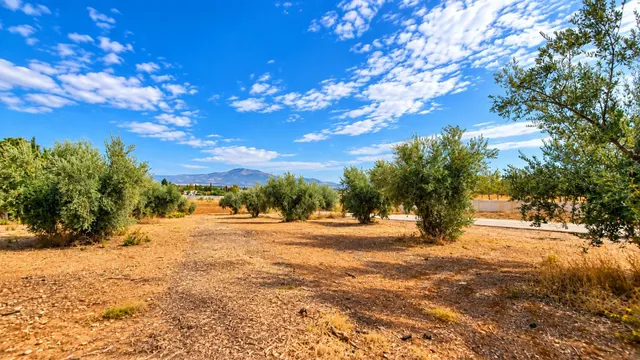 Parcela rústica de 4.824 m2 en Llanos de Moraleda, Moraleda de Zafayona — 37
