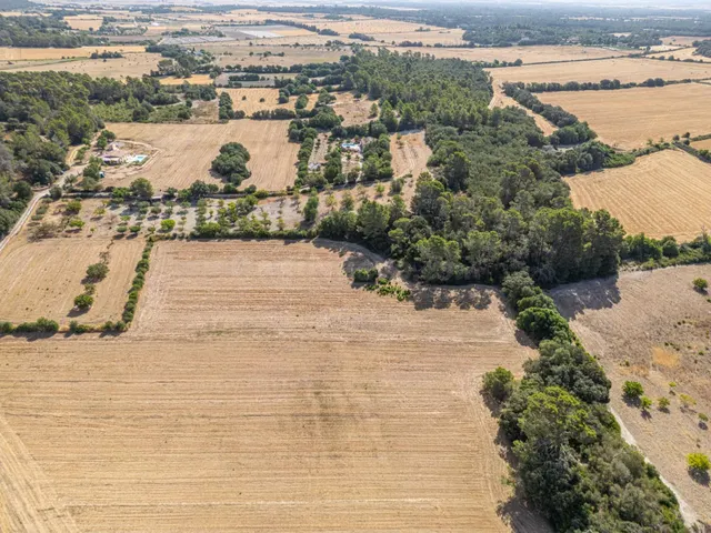 Conjunto de parcelas rústicas en venta en Porreres (Mallorca