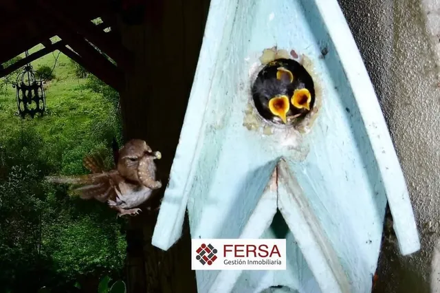 PRECIOSA CASA RURAL EN BENAMAHOMA — 29