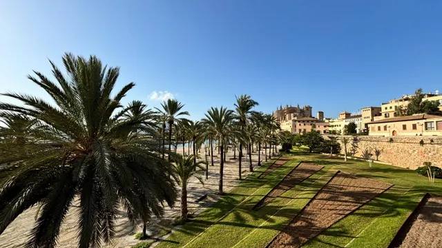 Apartamento único en el casco antiguo de Palma, zona Sa Calatrava — 19