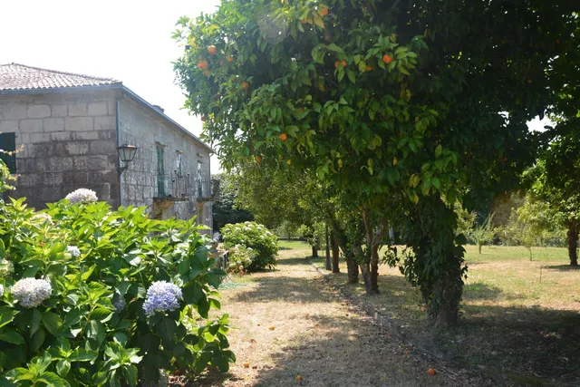 Bonito Pazo. - foto 3