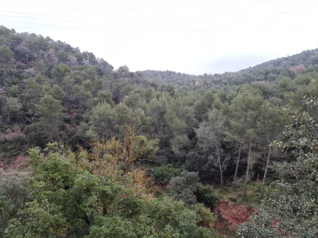 Masia de unos 570 m2 para reformar y reforzar estructuralmente con 470.000 m2 de terreno — 16