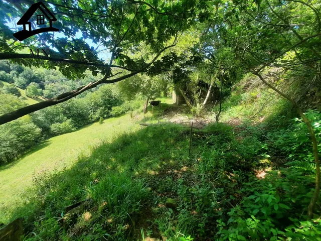 Cabaña tradicional de piedra con gran finca de 9.710 m2 en e - foto 3