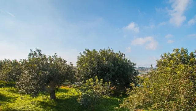 Casa rural en Teulada con piscina privada — 15
