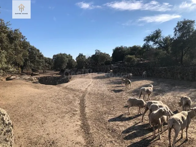 Se VENDE PARCELA CON CASAS EN ZONA TORREORGAZ. IDEAL PARA DI - foto 4
