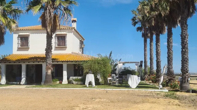 Espectacular finca de 19.000 m2 con 2 casas en Moguer (Huelva) — 2