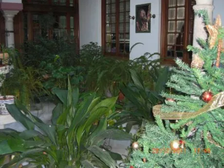 CASA 680 m2 CENTRO HISTORICO — 11