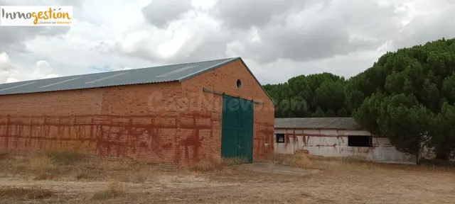 SE VENDE TERRENO CON NAVE EN SARDÓN DE DUERO (VALLADOLID) - foto 2