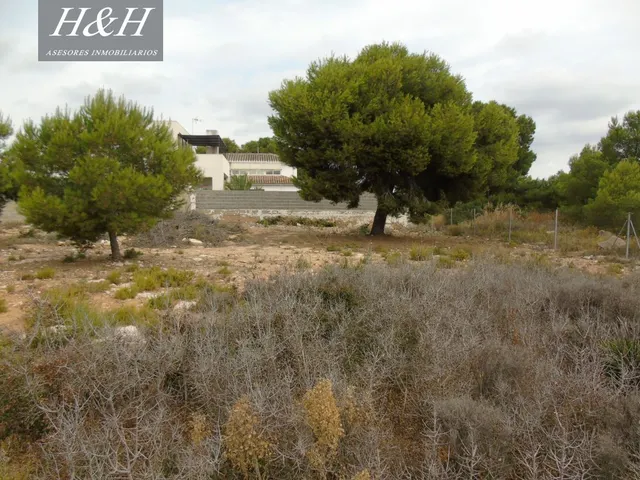 Se vende terreno urbano de 2000 m2 en Betera. / H H Asesores, Inmobiliaria en Burjassot/ — 4