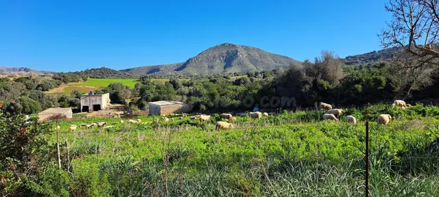 Ubicación sensacional dentro de una zona natural prácticamen - foto 4