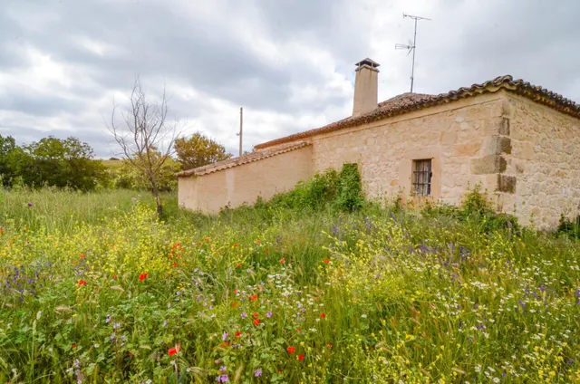 Urbis te ofrece una casa con terreno en venta en Doñinos de Salamanca, Salamanca. — 25