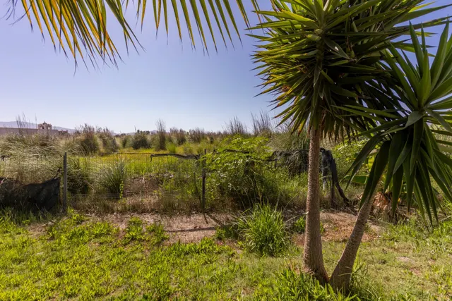 CASA CORTIJO EN MOTRIL. SITUADA A 2,5 KM DE LA PLAYA — 30