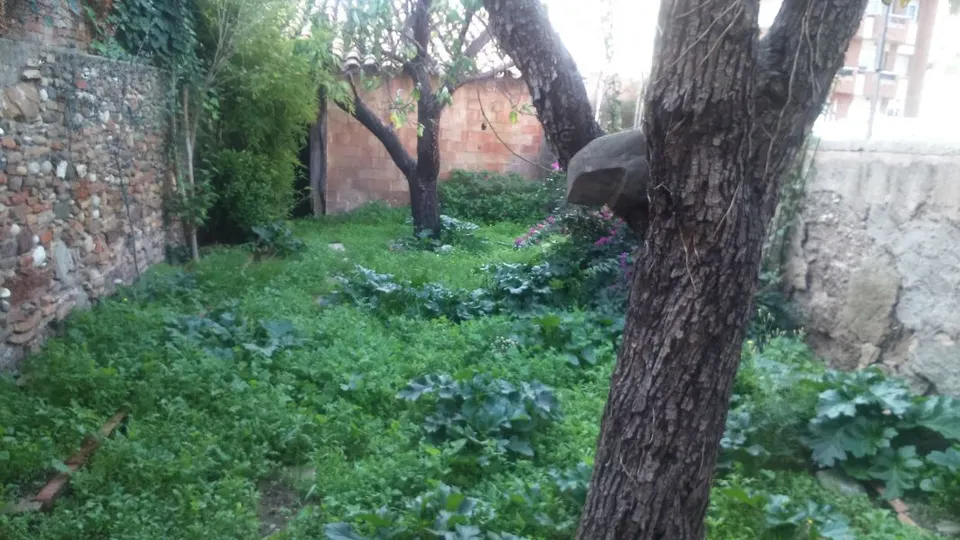TERRENO CÉNTRICO EN VENTA!
