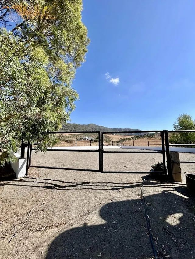 Espectacular finca ecuestre de 32.000 m2 con varias viviendas y piscina en Álora — 29