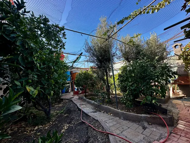 Casa ubicada en el Rincón bajo de Tejeda — 42