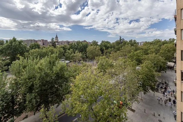 Pisazo en paseo del salón - Granada — 4