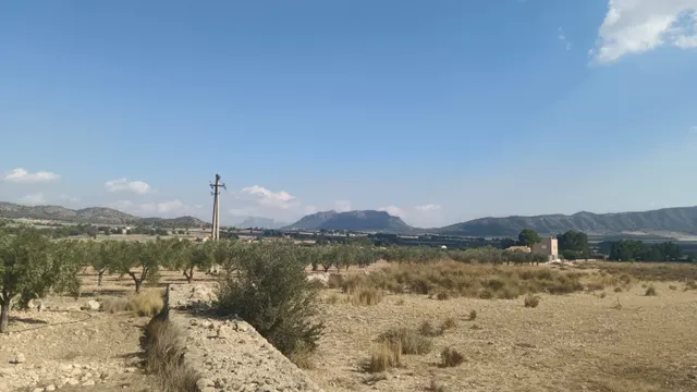 Terreno en Salinas para proyecto único - Comunidad Valenciana — 13