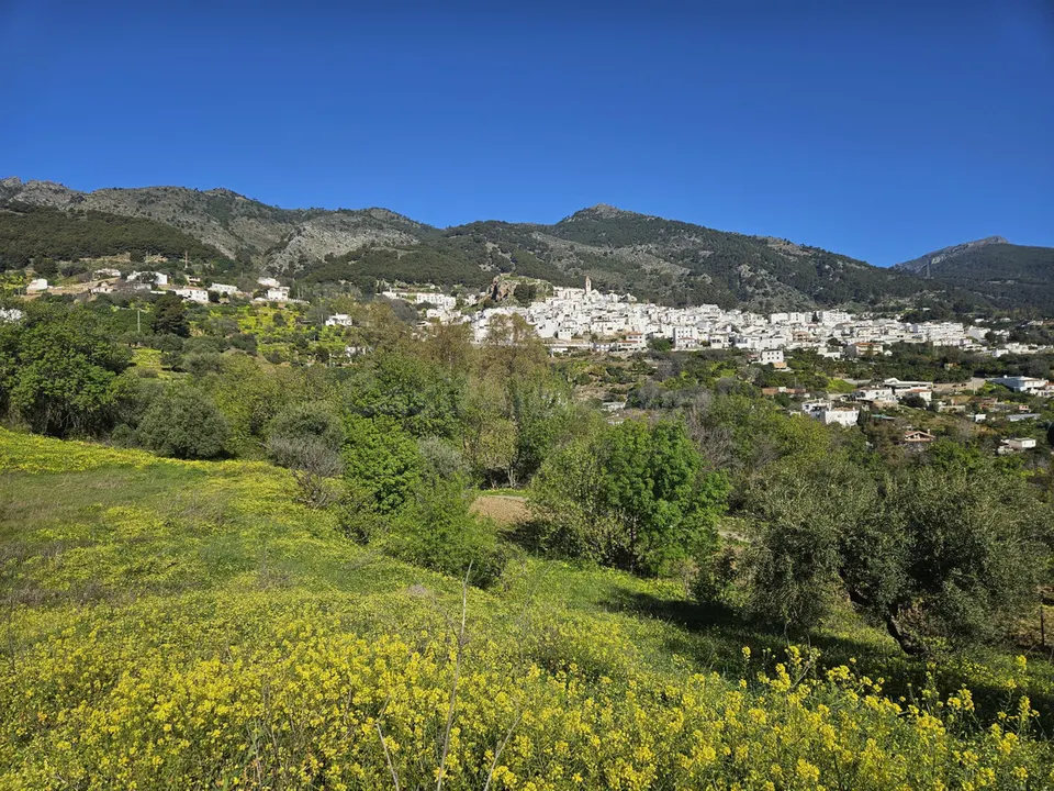 Finca rústica con olivos y cuadra en Casarabonela (Málaga)
