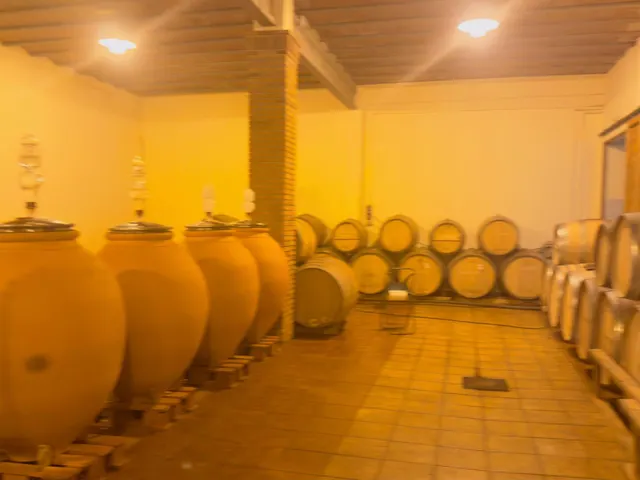 Exclusiva Bodega en Venta en el Corazón del Priorat – Producción Ecológica de Alto nivel | 82 ha de Finca con Masía y Viñedos — 12