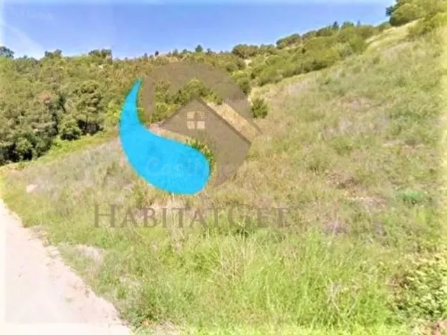 Terreno urbano 10000m² en venta - CENTRICA