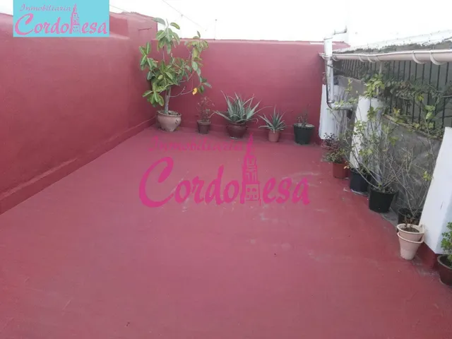 CASA INDEPENDIENTE ZONA REALEJO — 17