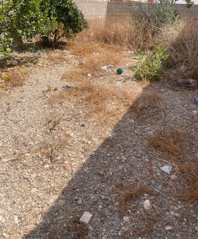CASA DE PLANTA BAJA EN EL EJIDO - OPORTUNIDAD ÚNICA - foto 3