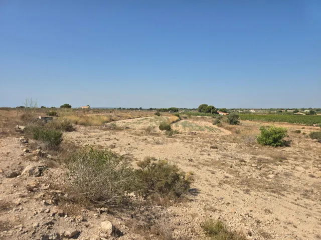 Parcela rustica en Valverde Alto con agua de riego ideal par - foto 5