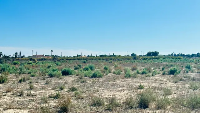 Terreno de 12.000 m2 en Perleta. — 6